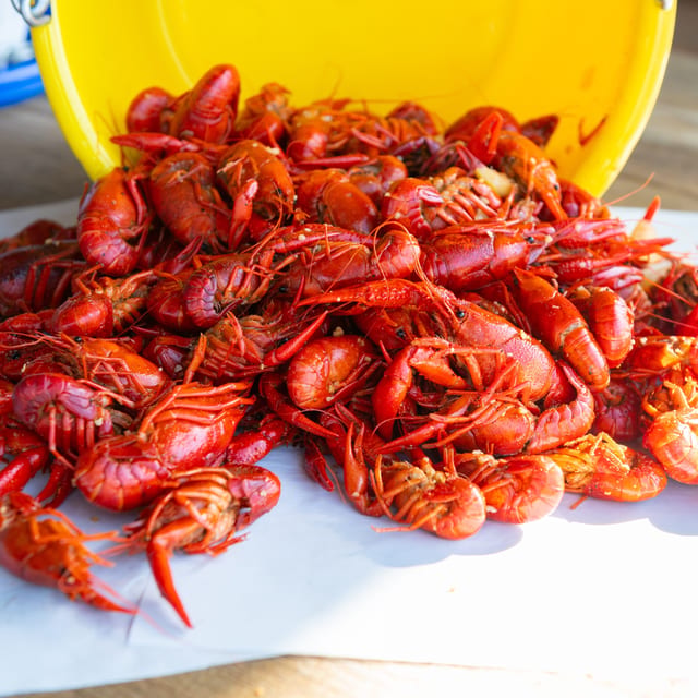 Bulk Crawfish 10 lbs..